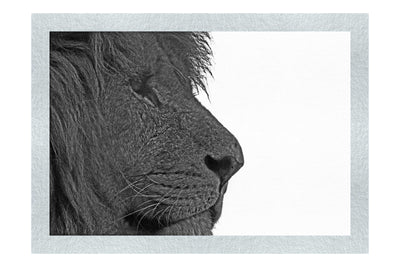 Lion in Side-Profile - Monochrome Fine Art Print - Wildlife Category