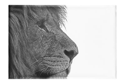 Lion in Side-Profile - Canvas Print - Wildlife Category