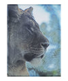 Fierce Lioness - Canvas Print - Wildlife Category