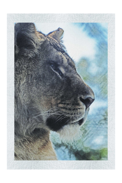 Fierce Lioness - Fine Art Print - Wildlife Category