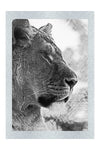 Fierce Lioness - Monochrome Fine Art Print - Wildlife Category