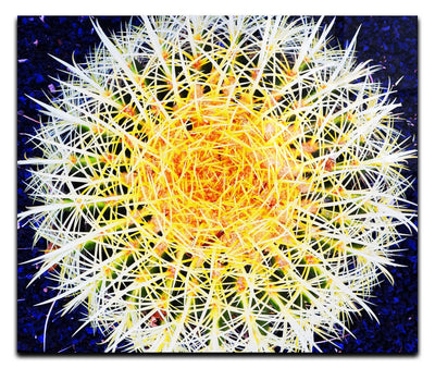 Hot Cactus - Acrylic Print - Flowers & Plants Category