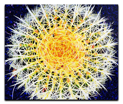 Hot Cactus - Acrylic Print - Flowers & Plants Category