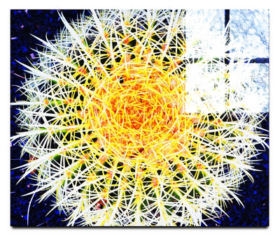 Hot Cactus - Acrylic Print - Flowers & Plants Category