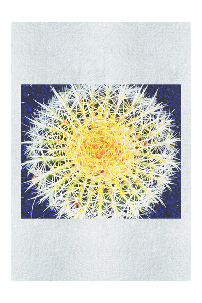 Hot Cactus - Fine Art Print - Flowers & Plants Category