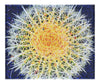 Hot Cactus - Canvas Print - Flowers & Plants Category