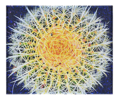 Hot Cactus - Canvas Print - Flowers & Plants Category