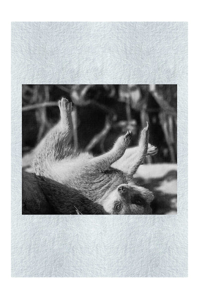 Cool Meerkat - Monochrome Fine Art Print - Wildlife Category