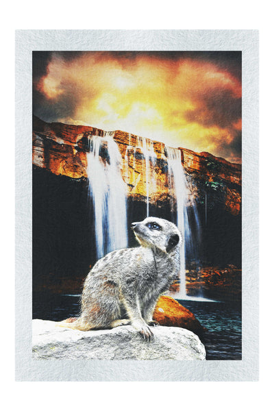 Meerkat Waterfall - Fine Art Print - Rare Edition Category