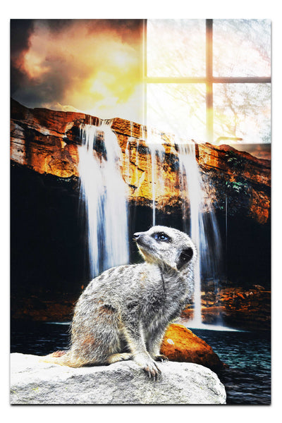 Meerkat Waterfall - Acrylic Print - Rare Edition Category