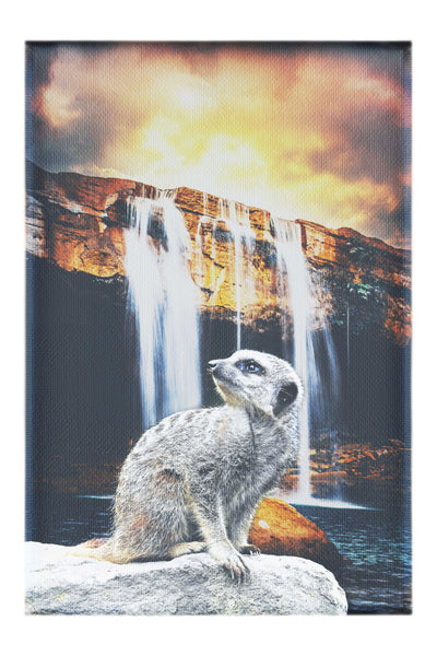 Meerkat Waterfall - Canvas Print - Rare Edition Category