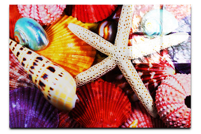 Asteroidea Beaded Starfish II - Acrylic Print - Aquatic Art Category
