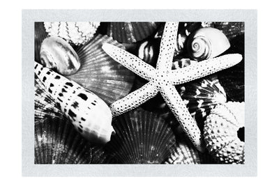 Asteroidea Beaded Starfish II - Monochrome Fine Art Print - Aquatic Art Category