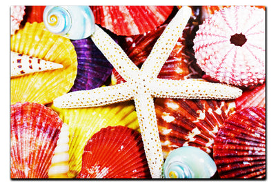 Asteroidea Beaded Starfish III - Acrylic Print - Aquatic Art Category