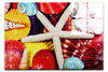 Asteroidea Beaded Starfish III - Acrylic Print - Aquatic Art Category