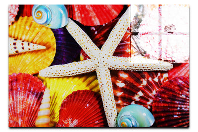 Asteroidea Beaded Starfish III - Acrylic Print - Aquatic Art Category