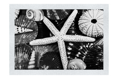 Asteroidea Beaded Starfish III - Monochrome Fine Art Print - Aquatic Art Category