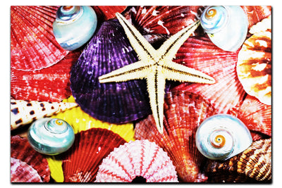 Asteroidea Blue Finger Starfish - Acrylic Print - Aquatic Art Category