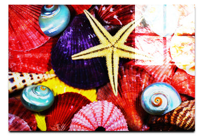 Asteroidea Blue Finger Starfish - Acrylic Print - Aquatic Art Category