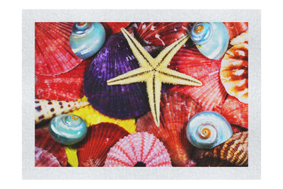 Asteroidea Blue Finger Starfish - Fine Art Print - Aquatic Art Category