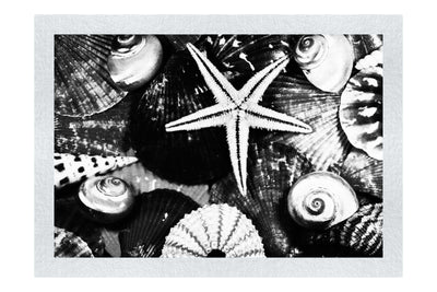 Asteroidea Blue Finger Starfish - Monochrome Fine Art Print - Aquatic Art Category