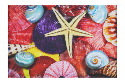 Asteroidea Blue Finger Starfish - Canvas Print - Aquatic Art Category