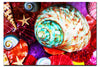 Turbindae Shell and Beaded Astroidea - Acrylic Print - Aquatic Art Category
