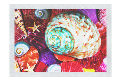 Turbinidae Shell & Beaded Asteroidea - Fine Art Print - Aquatic Art Category