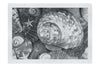 Turbinidae Shell & Beaded Asteroidea - Monochrome Fine Art Print - Aquatic Art Category