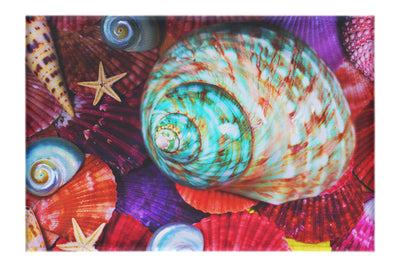 Turbinidae Shell & Beaded Asteroidea - Canvas Print - Aquatic Art Category