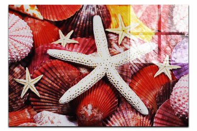 Asteroidea Finger & Beaded Starfish - Acrylic Print - Aquatic Art Category