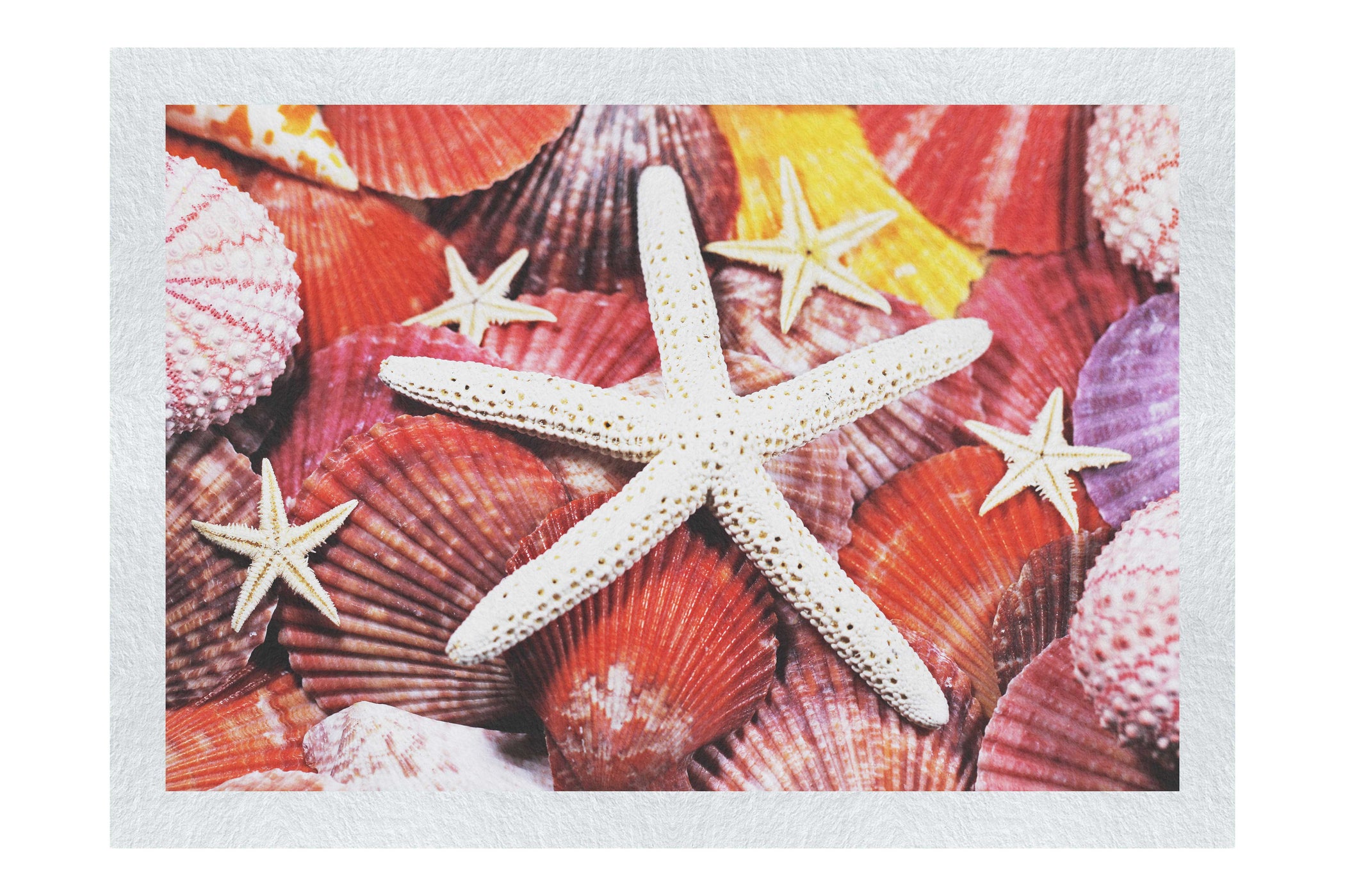 Asteroidea Finger & Beaded Starfish - Fine Art Print - Aquatic Art Category