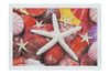 Asteroidea Finger & Beaded Starfish - Fine Art Print - Aquatic Art Category