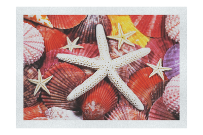 Asteroidea Finger & Beaded Starfish - Fine Art Print - Aquatic Art Category
