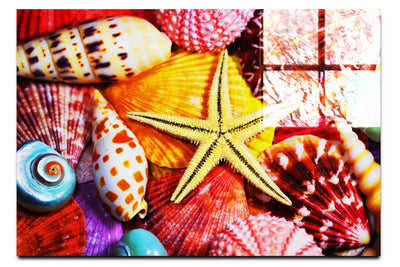 Star In The Shells - Acrylic Print - Aquatic Art Category