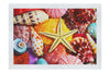 Star In The Shells - Fine Art Print - Aquatic Art Category