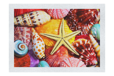 Star In The Shells - Fine Art Print - Aquatic Art Category