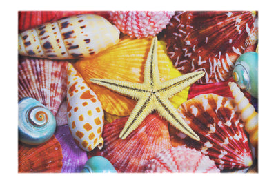 Star In The Shells - Canvas Print - Aquatic Art Category