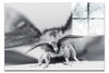 Monochrome Moth - Acrylic Print - Wildlife Category