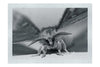 Monochrome Moth - Monochrome Fine Art Print - Wildlife Category