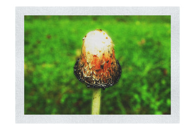Forest Sentinel - Fine Art Print - Flowers & Plants Category