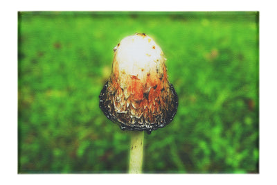 Forest Sentinel - Canvas Print - Flowers & Plants Category