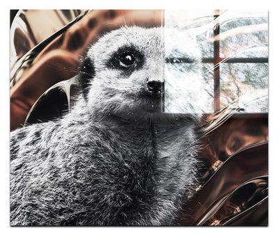 Meerkat Portrait - Acrylic Print - Rare Edition Category