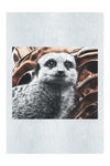 Meerkat Portrait - Fine Art Print - Rare Edition Category