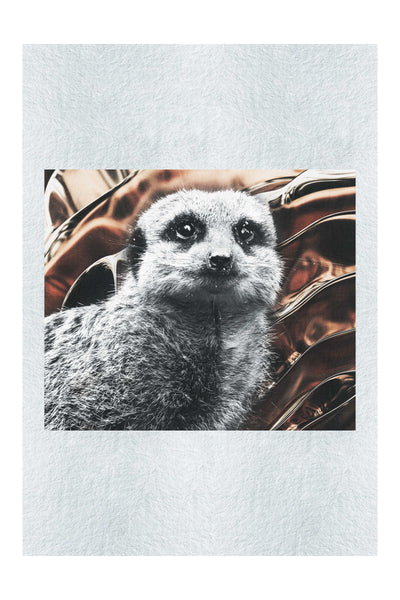Meerkat Portrait - Fine Art Print - Rare Edition Category