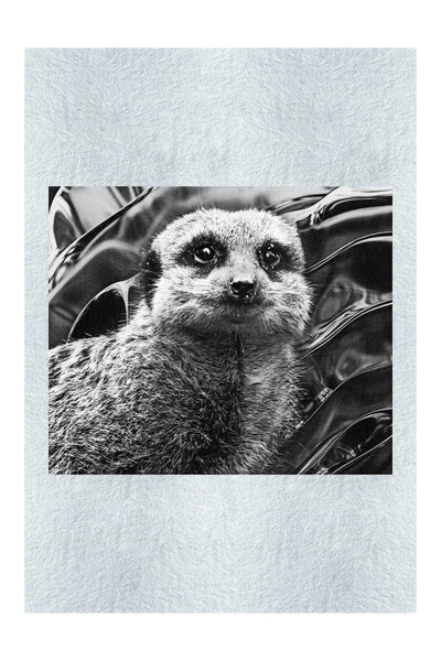 Meerkat Portrait - Monochrome Fine Art Print - Rare Edition Category