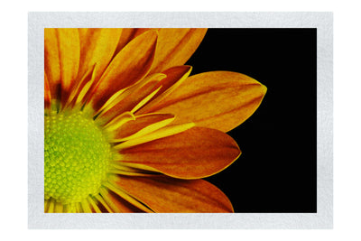 Golden Petals - Fine Art Print - Flowers & Plants Category