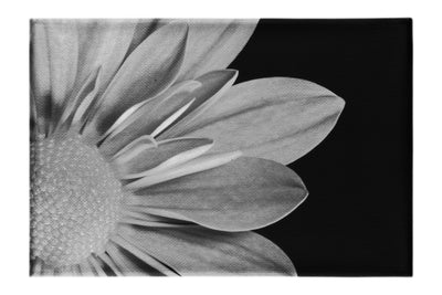 Monochrome Bloom - Canvas Print - Flowers & Plants Category