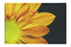 Golden Petals - Canvas Print - Flowers & Plants Category