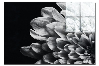 White Petal Plant - Acrylic Print - Flowers & Plants Category